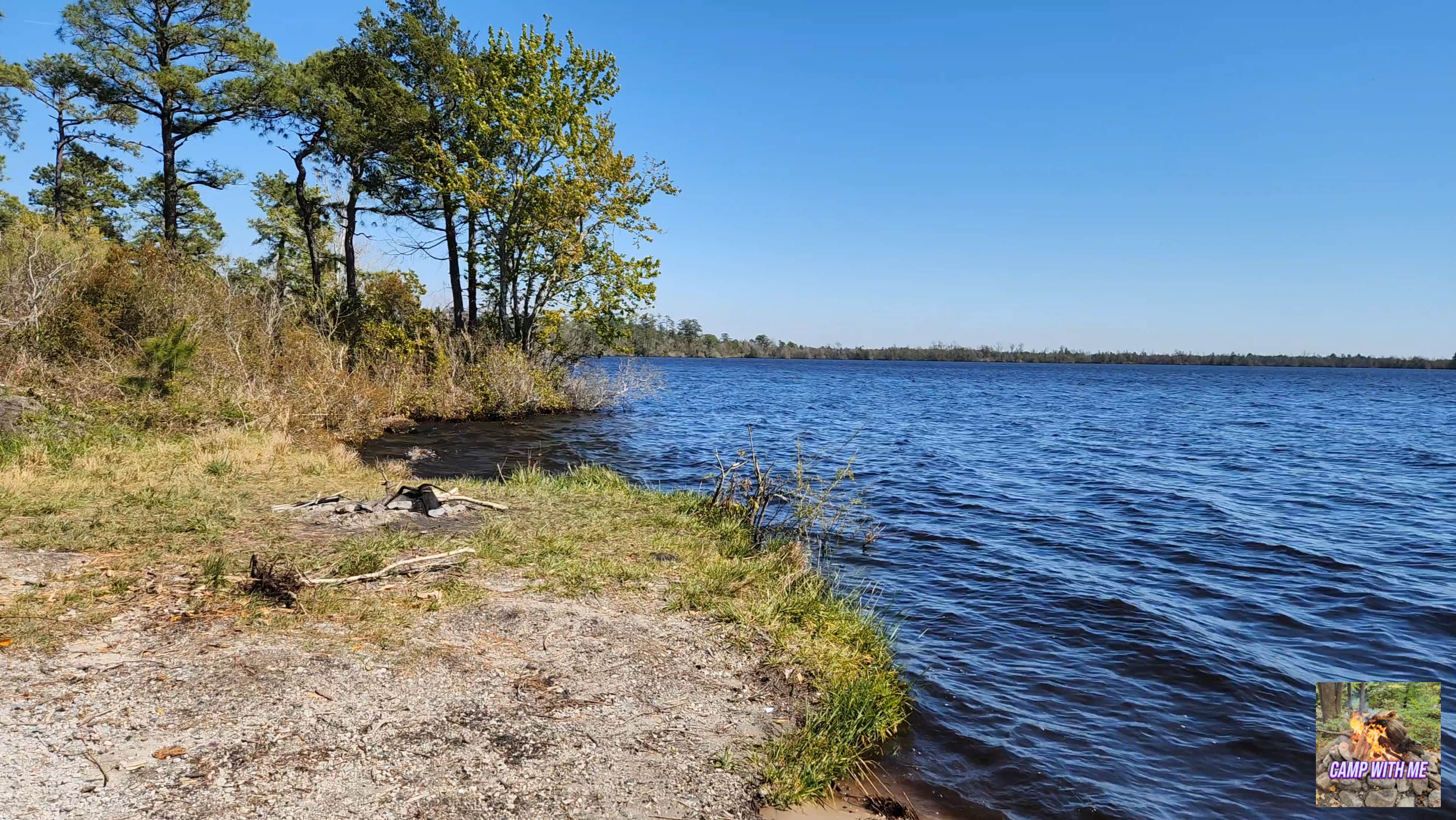 Camper submitted image from Catfish Lake - Croatan National Forest - 3
