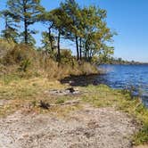 Review photo of Catfish Lake - Croatan National Forest by Camp With Me , December 18, 2025
