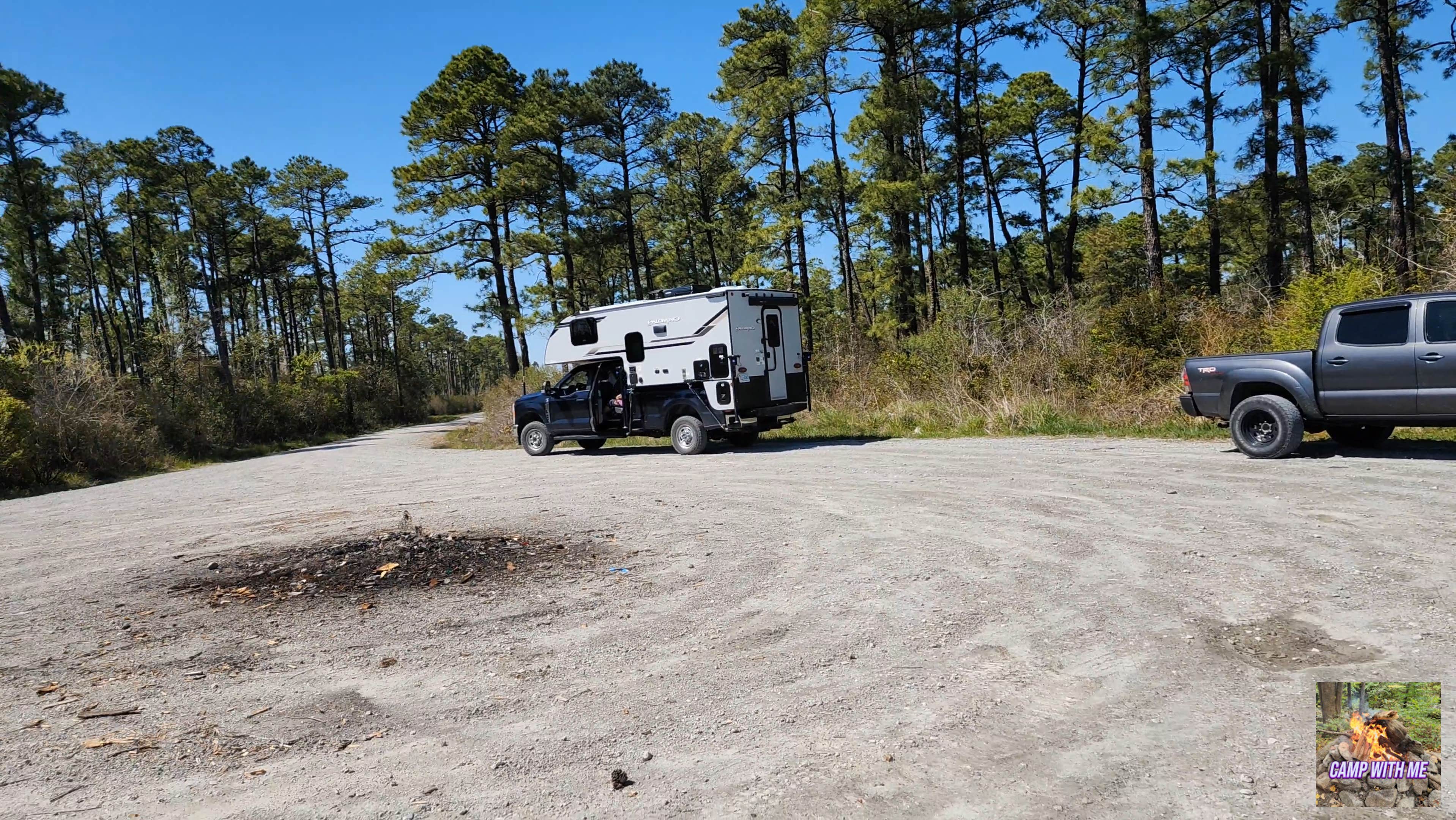 Camper submitted image from Catfish Lake - Croatan National Forest - 1
