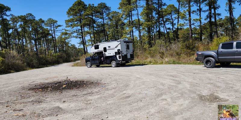 Camper submitted image from Catfish Lake - Croatan National Forest