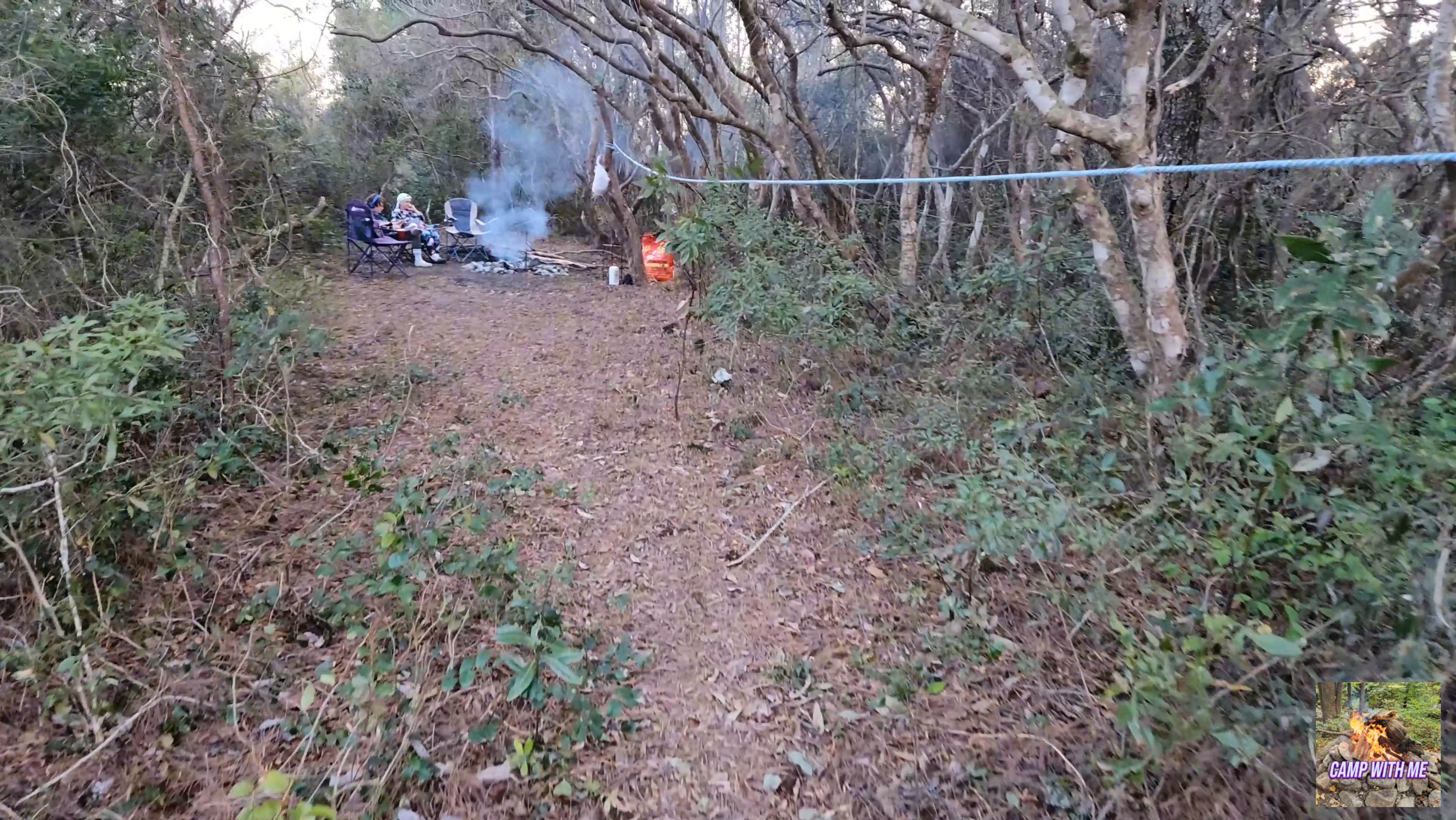 Camper submitted image from Catfish Lake Site 4 - Croatan National Forest - 1