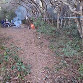 Review photo of Catfish Lake Site 4 - Croatan National Forest by Camp With Me , December 18, 2025