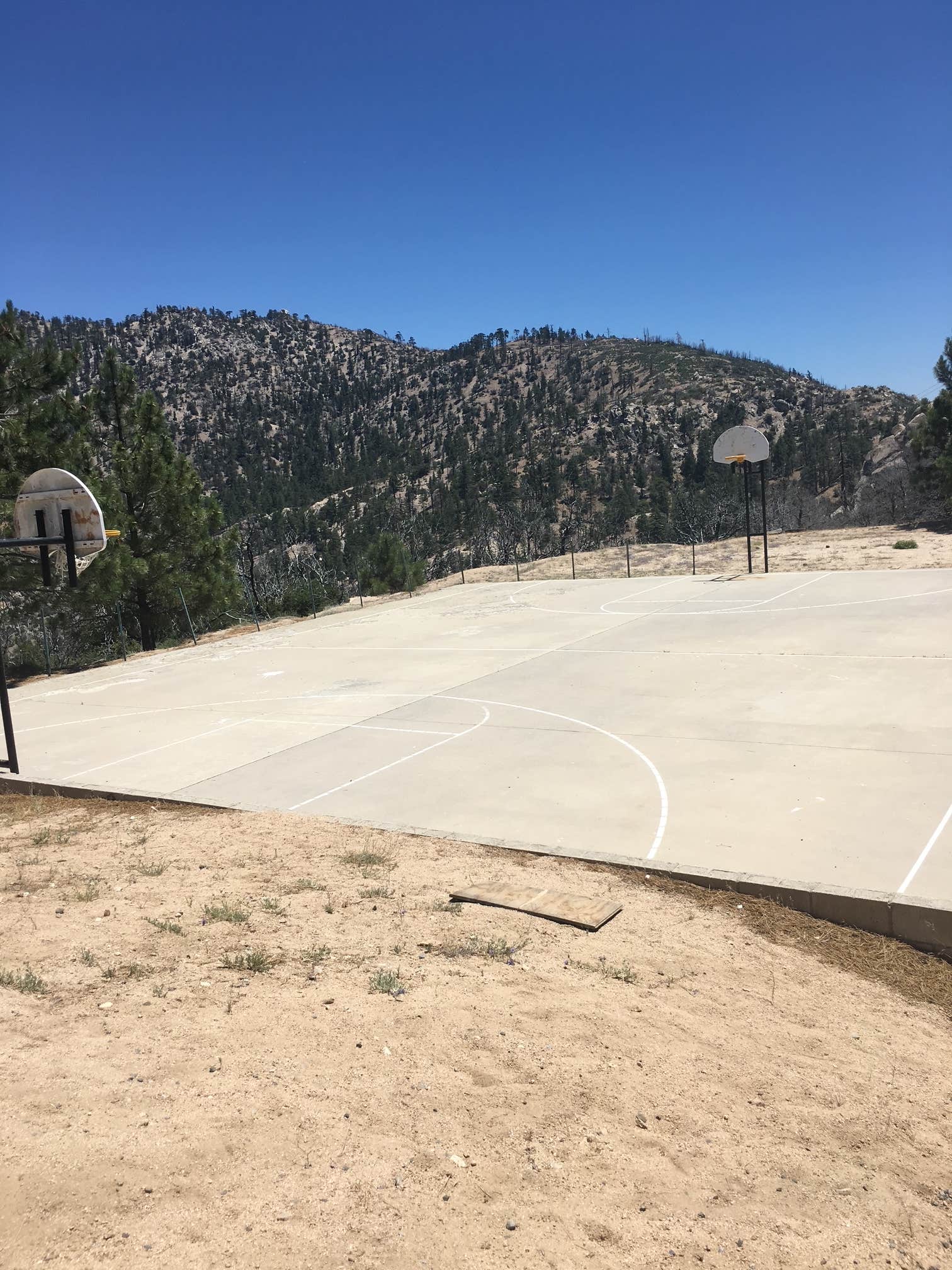 Camper-submitted photo at Camp Eaton near Pasadena, CA