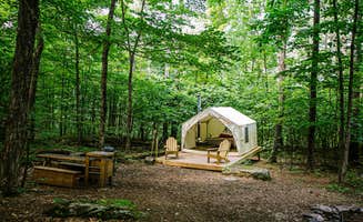 The Dyrt's photo at Tentrr Signature Site - The Old Catskill Game Farm Abandoned Zoo: Wooded Site near Hensonville, NY
