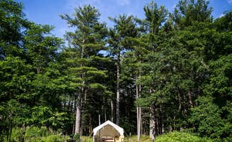 The Dyrt's photo at Tentrr Signature Site - The Old Catskill Game Farm Abandoned Zoo: Mountain View Site near Kinderhook, NY