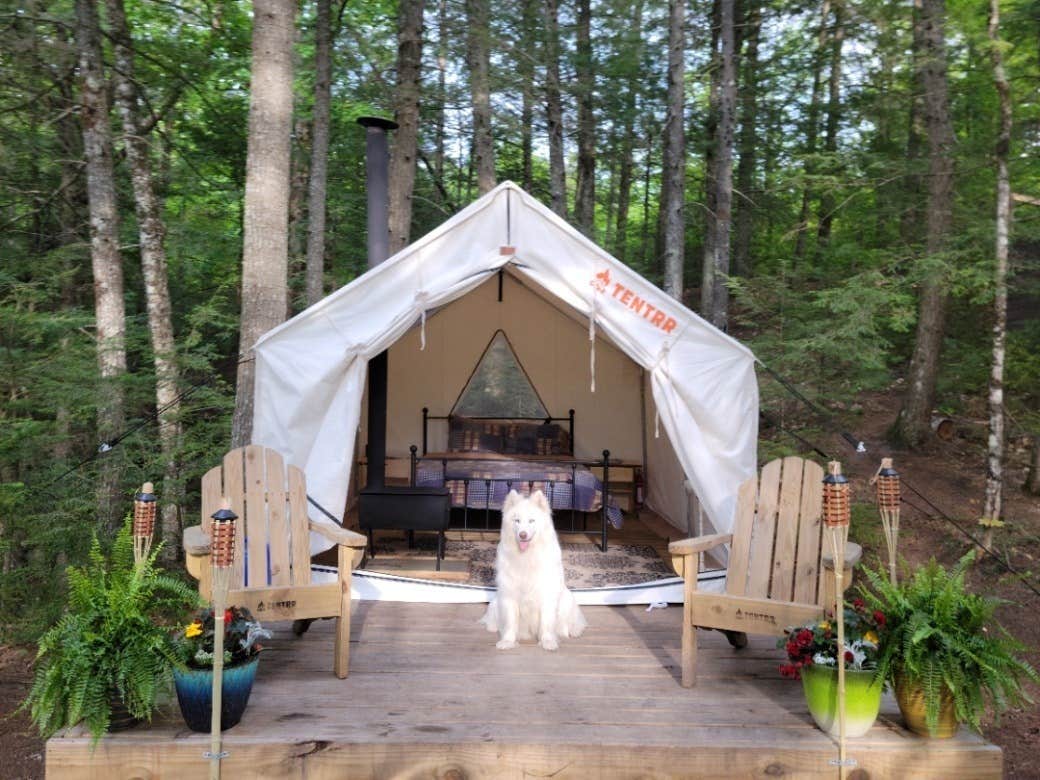 The Dyrt's photo at Tentrr Signature Site - Retreat on the Crooked River near South Paris, ME