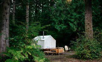 The Dyrt's photo at Tentrr Signature Site - Cascade Rose Alpaca Farm Stay near Mill Creek, WA