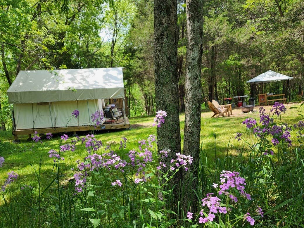 The Dyrt's photo at Tentrr Signature Site - Evensong Farm - Wineberry - Coleman Outfitted Site near Boonsboro, MD