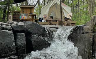 The Dyrt's photo of camping with pets at Tentrr Signature Site - Locust Grove near Howes Cave, NY