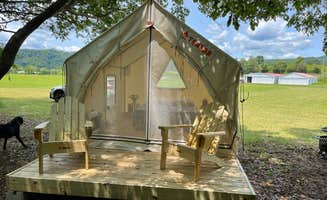 The Dyrt's photo of camping with pets at Tentrr Signature Site - Cub near Ripplemead, VA