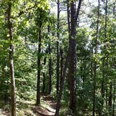 Review photo of Cedar Lake Equestrian Campground by Kelly Z., June 23, 2016