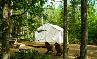 The Dyrt's photo at Tentrr State Park Site - Maine Mount Blue State Park - Wooded Site - Single Camp near Andover, ME