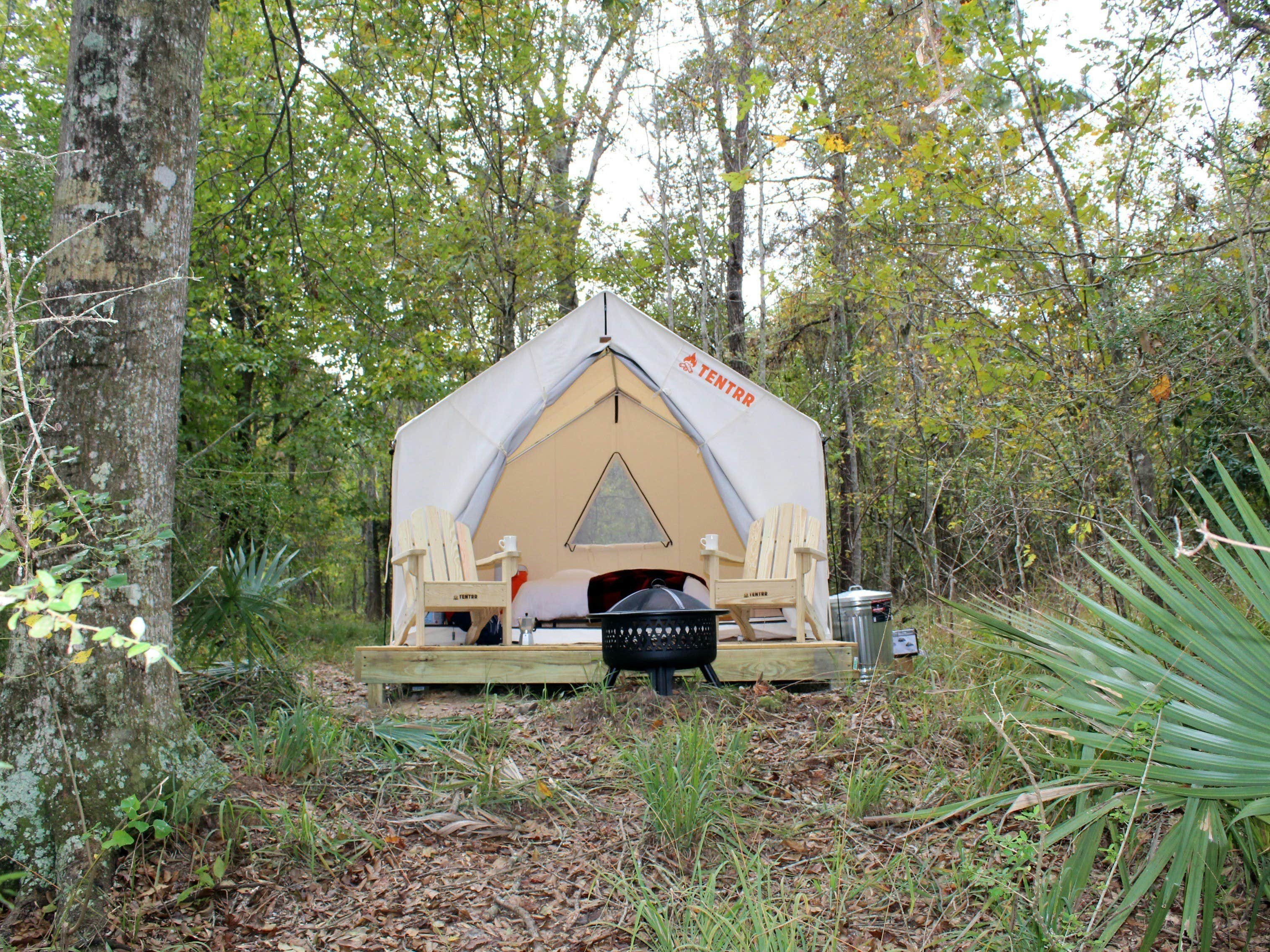 The Dyrt's photo at Tentrr State Park Site - Louisiana Fontainebleau State Park - Pond View E - Single Camp near Abita Springs, LA