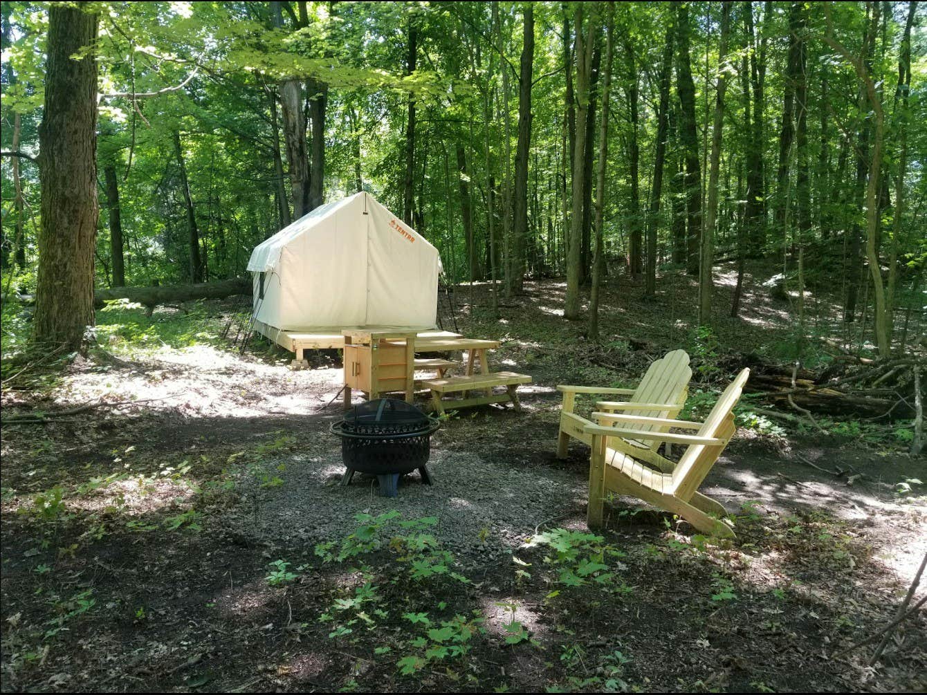 The Dyrt's photo at Tentrr State Park Site - Louisiana Bogue Chitto State Park - Riverview F - Single Camp near Kentwood, LA