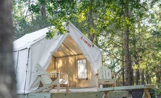 The Dyrt's photo at Tentrr State Park Site - Mississippi Buccaneer State Park - Woodland C - Single Camp near Picayune, MS