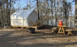 The Dyrt's photo at Tentrr State Park Site - Louisiana Chicot State Park - Site E - Single Camp near Turkey Creek, LA