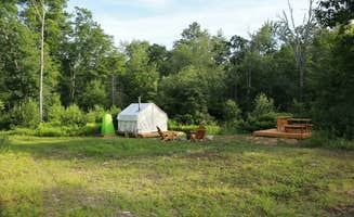 The Dyrt's photo at Tentrr Signature Site - Pine Grove near Clayville, RI