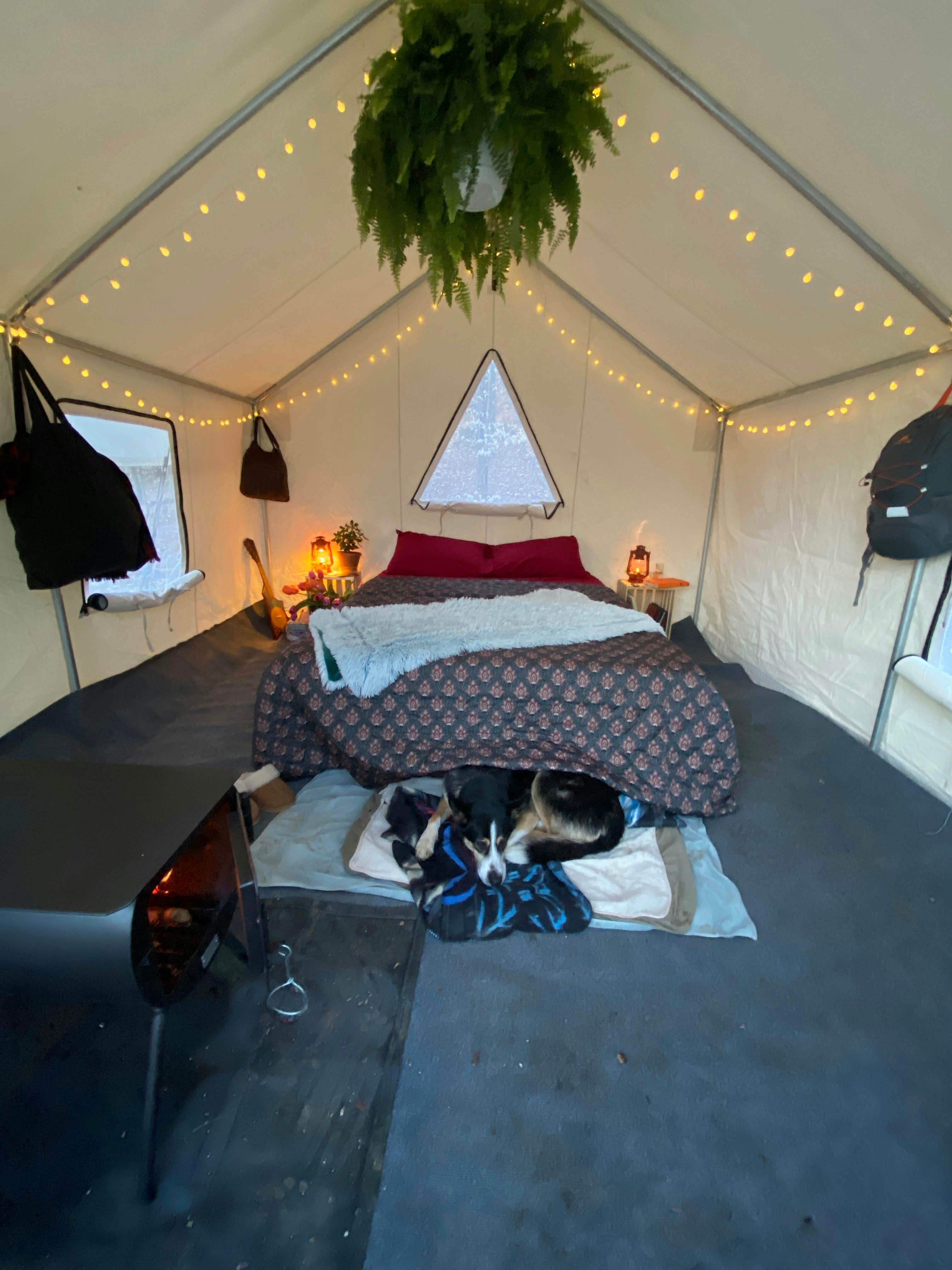 The Dyrt's photo of camping with pets at Tentrr Signature Site - Sugar Shack near Vershire, VT