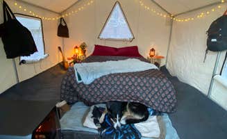 The Dyrt's photo of camping with pets at Tentrr Signature Site - Sugar Shack near Florence, VT