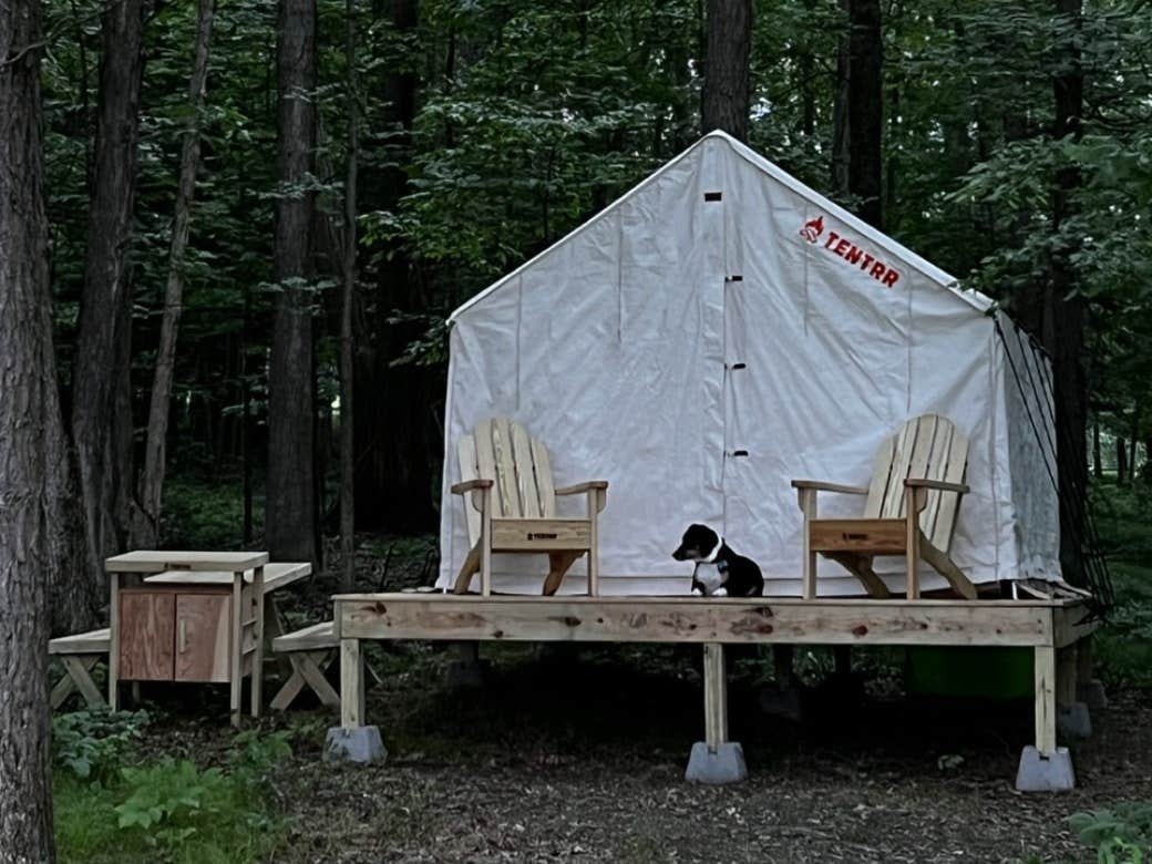 The Dyrt's photo at Tentrr Signature Site - Orchard and Gorge Tent at South Hill Cider - Site #2 near Berkshire, NY