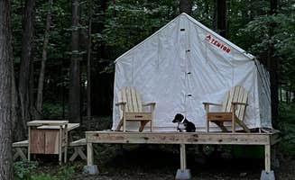 The Dyrt's photo of camping with pets at Tentrr Signature Site - Orchard and Gorge Tent at South Hill Cider - Site #2 near Cortland, NY