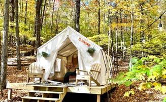 The Dyrt's photo at Tentrr Signature Site - Retreat East Co, The Forest Experience near Cragsmoor, NY