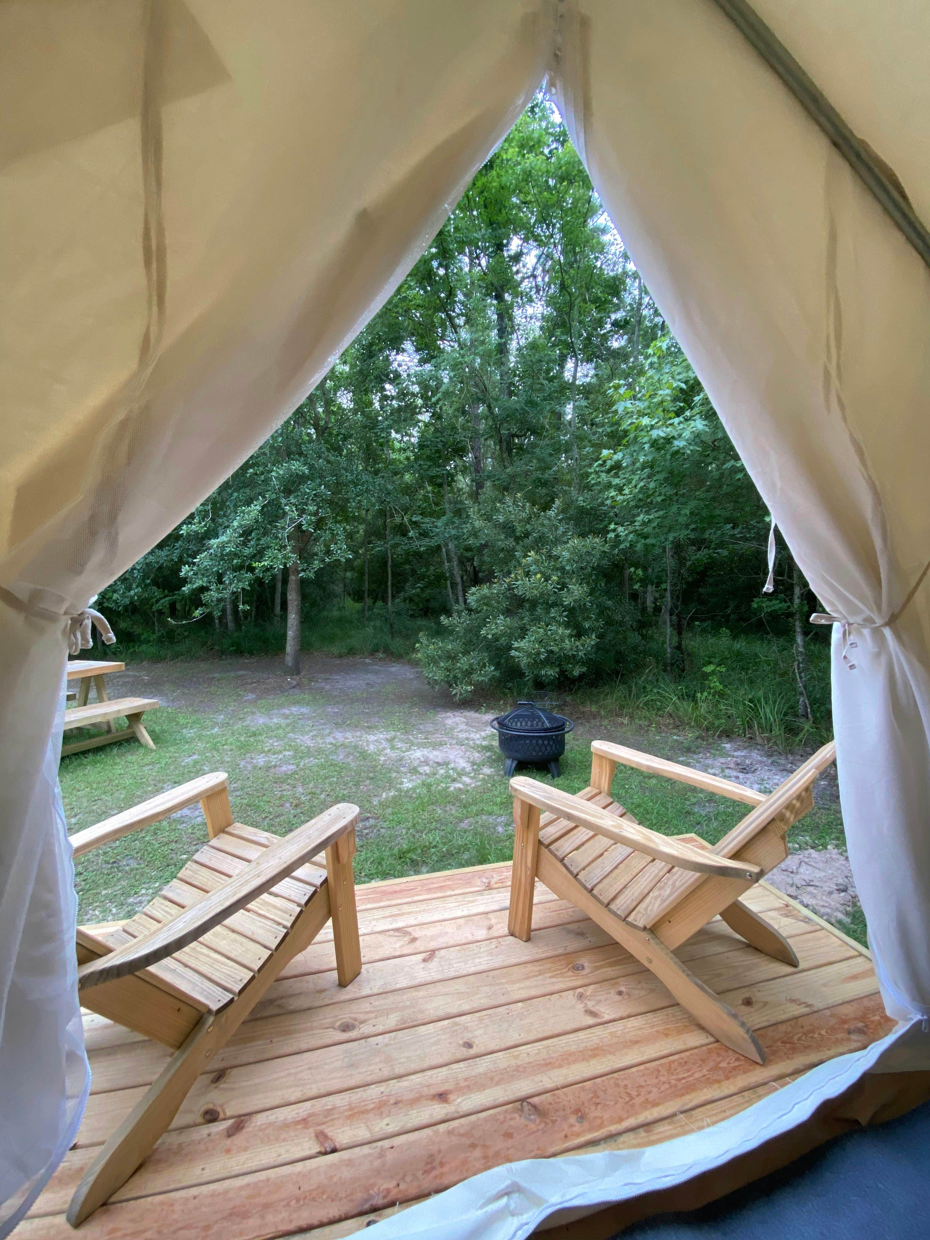 The Dyrt's photo at Tentrr State Park Site - Louisiana Fontainebleau State Park - Woodland L - Single Site near Abita Springs, LA