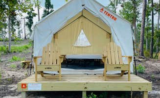 The Dyrt's photo at Tentrr State Park Site - Louisiana Sam Houston Jones State Park - Lagoon View A Single Camp near Lake Charles, LA