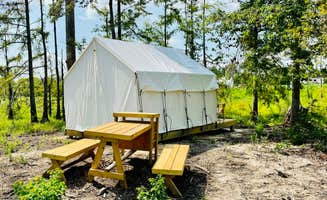 The Dyrt's photo at Tentrr State Park Site - Louisiana Sam Houston Jones State Park - Lagoon View A Single Camp near Jennings, LA