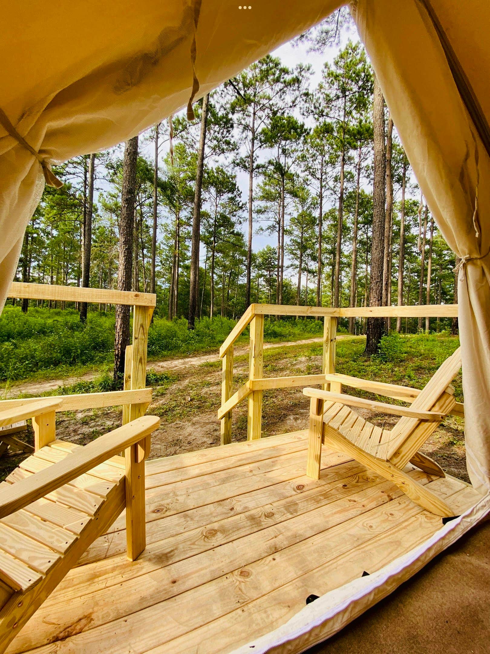 The Dyrt's photo at Tentrr State Park Site - Louisiana Bogue Chitto State Park - Gorge Trail O - Single Camp near Kentwood, LA