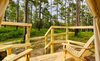 The Dyrt's photo at Tentrr State Park Site - Louisiana Bogue Chitto State Park - Gorge Trail O - Single Camp near Hammond, LA