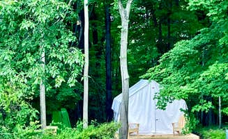 The Dyrt's photo at Tentrr Signature Site - FRISKY SWARD Upper Forest near Lake Katrine, NY