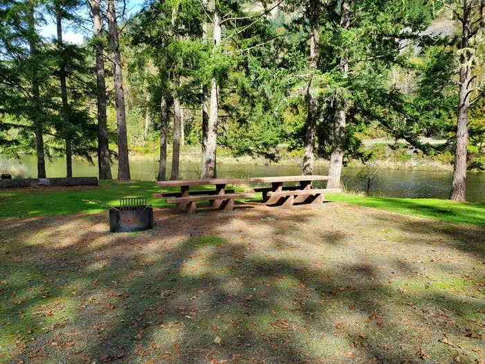 Camper submitted image from COE Dorena Reservoir Schwarz Campground - 1