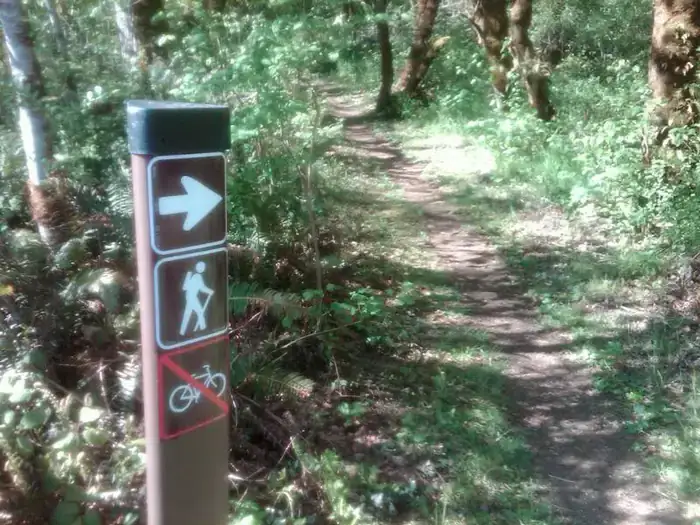 Camper-submitted photo at COE Dorena Reservoir Schwarz Campground near Springfield, OR