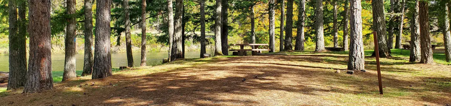 Camper-submitted photo at COE Dorena Reservoir Schwarz Campground near Springfield, OR