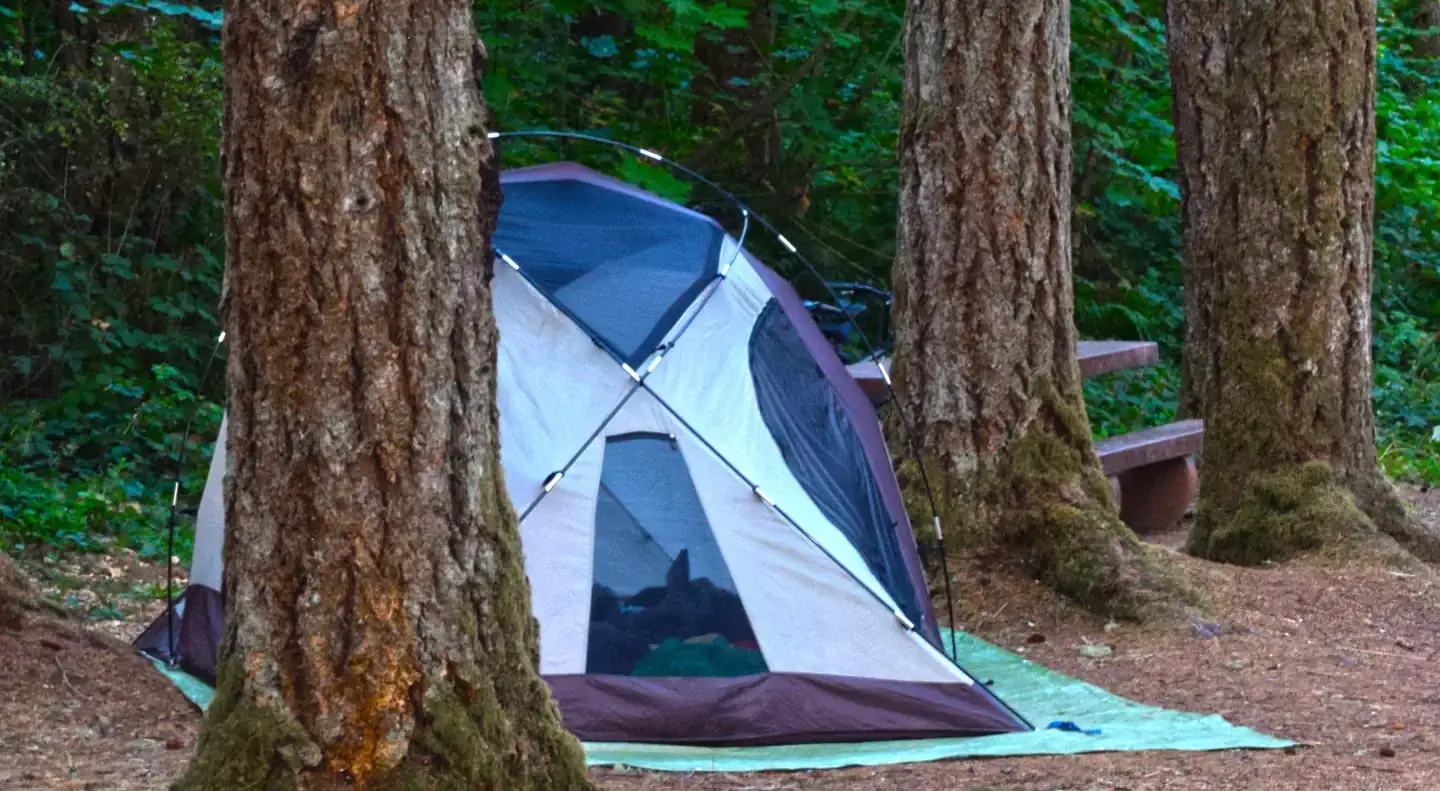 Camper-submitted photo at COE Dorena Reservoir Schwarz Campground near Springfield, OR