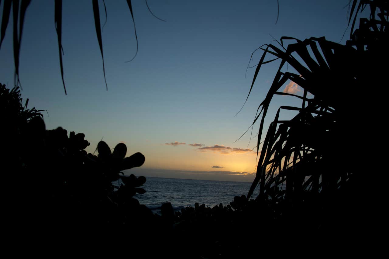 Camper submitted image from Kīpahulu Campground — Haleakalā National Park - 2