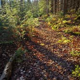 Review photo of Blackwater Falls State Park Campground by Ric M., December 19, 2025