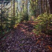 Review photo of Blackwater Falls State Park Campground by Ric M., December 19, 2025