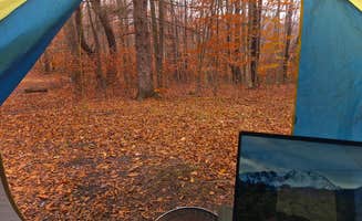 Ric M.'s photo at Blackwater Falls State Park Campground near Thomas, WV