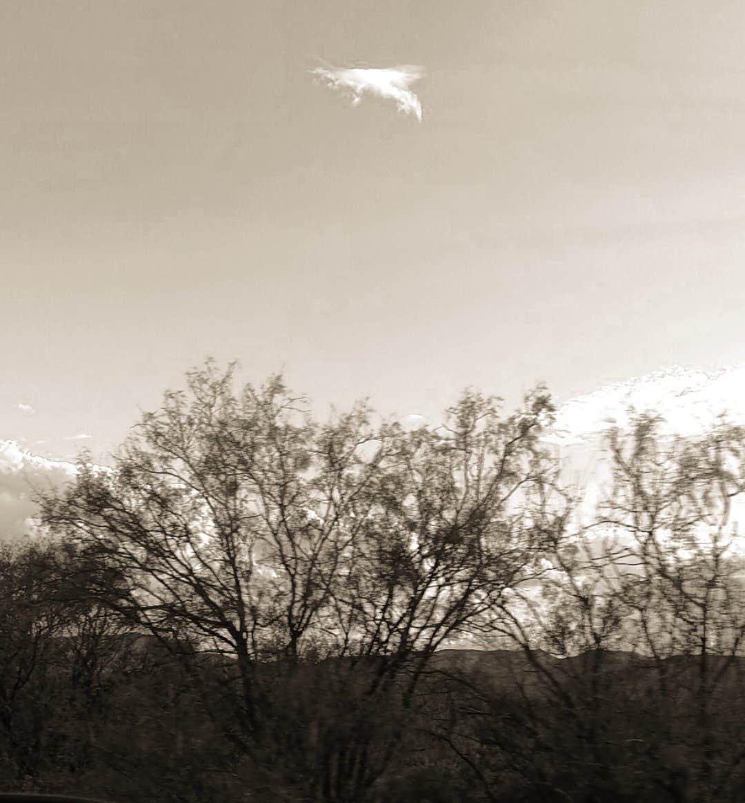 Camper submitted image from OffGridFarmSteader - 1