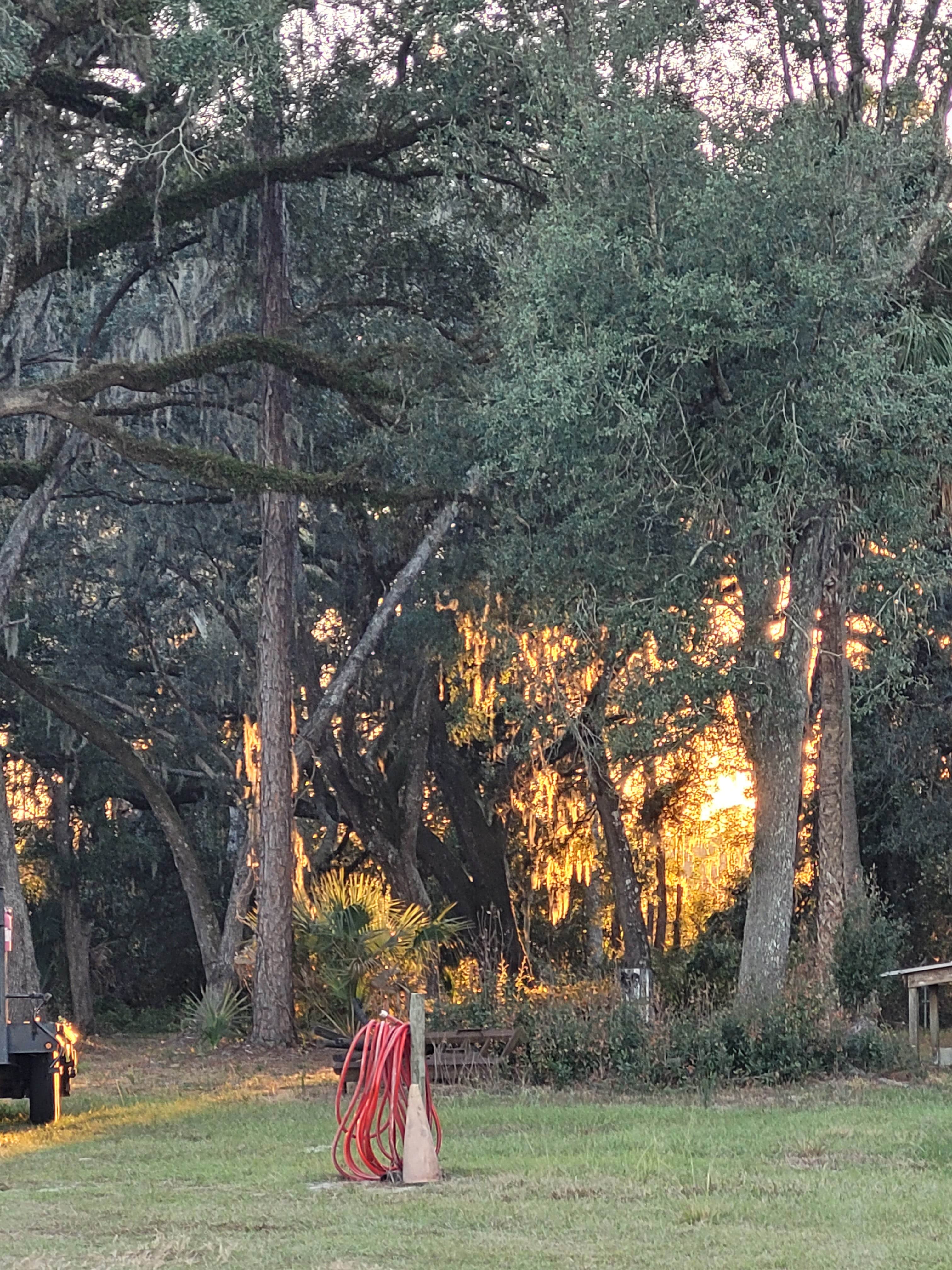 Camping near Doe Lake Group Site: BROKEN SPOKE RANCH, Ocklawaha, Florida