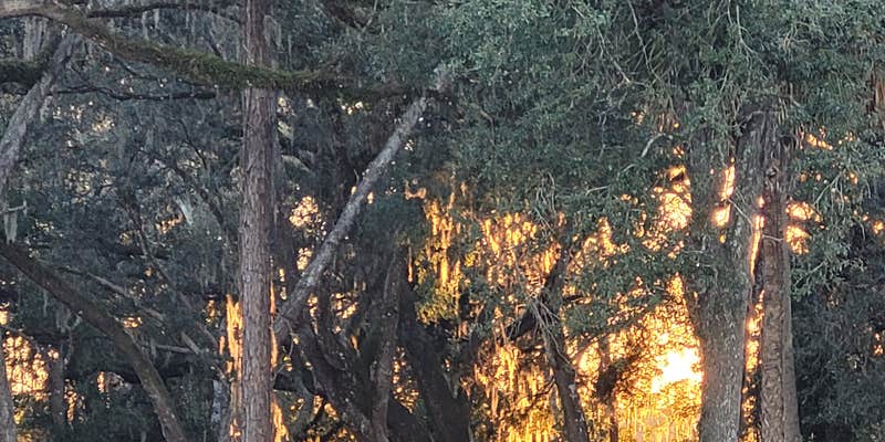 Camper submitted image from BROKEN SPOKE RANCH