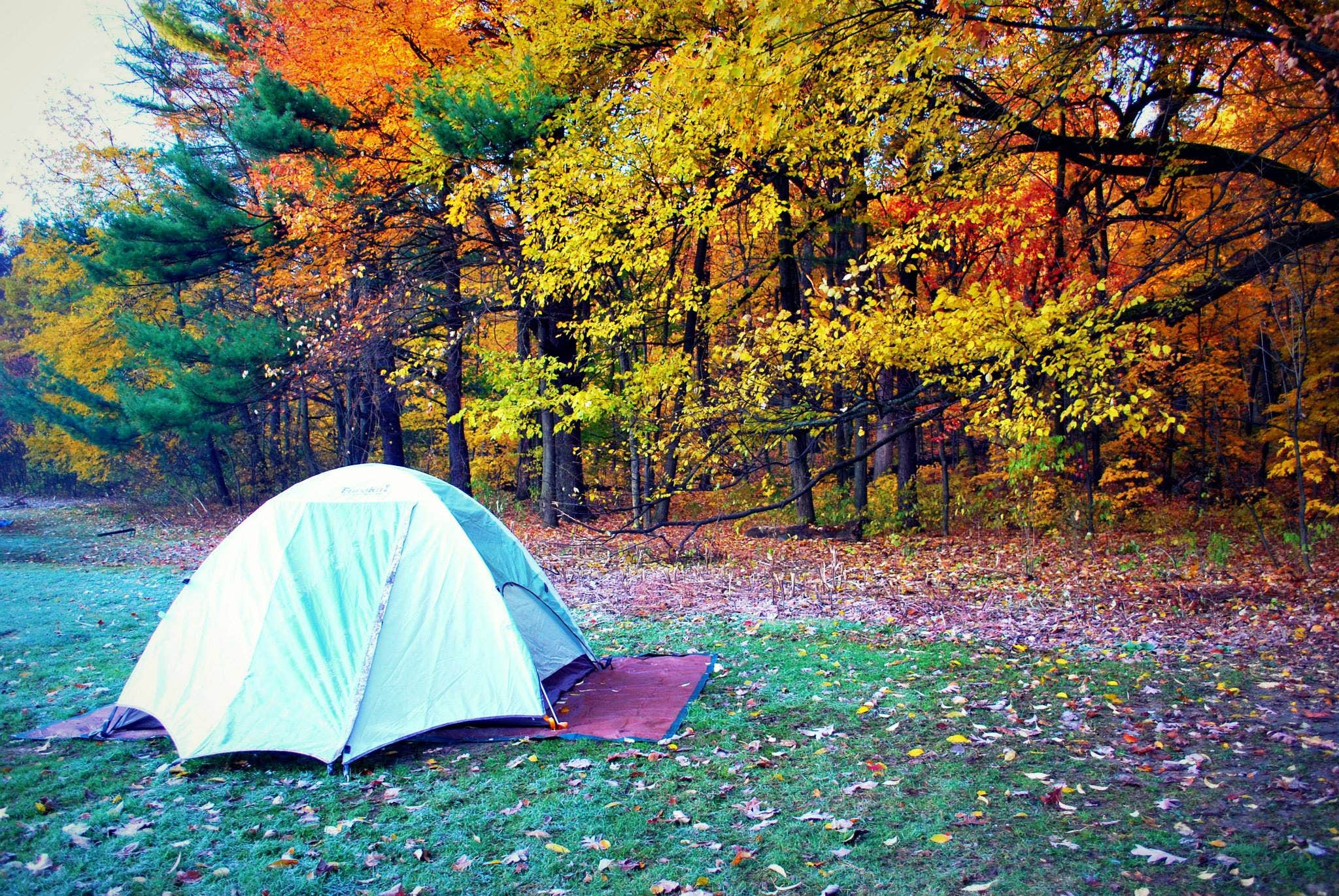 Elise M.'s photo at Quartzite Campground — Devils Lake State Park near Cross Plains, WI