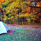 Review photo of Quartzite Campground — Devils Lake State Park by Elise M., September 28, 2016