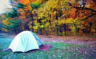 Elise M.'s photo at Quartzite Campground — Devils Lake State Park near Poynette, WI