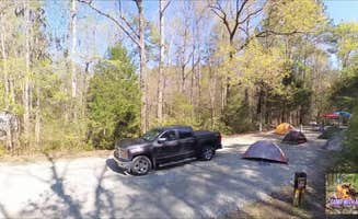 Camp With Me's photo at Croatan National Forest Neuse River Campground near New Bern, NC