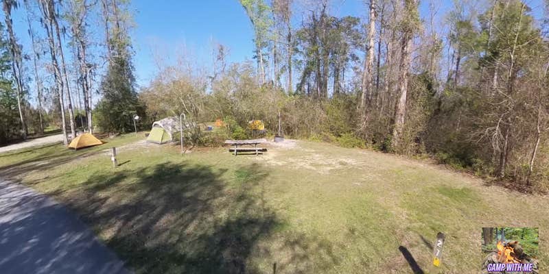 Camper submitted image from Croatan National Forest Neuse River Campground