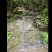 Review photo of Williams River Sites by Camp With Me , December 21, 2025