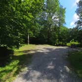 Review photo of Williams River Sites by Camp With Me , December 21, 2025